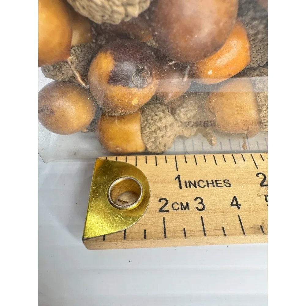 Crate & Barrel 100 Faux Acorns Fall Autumn Vase Bowl Filler Thanksgiving Decor